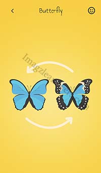 Butterfly Imagzle